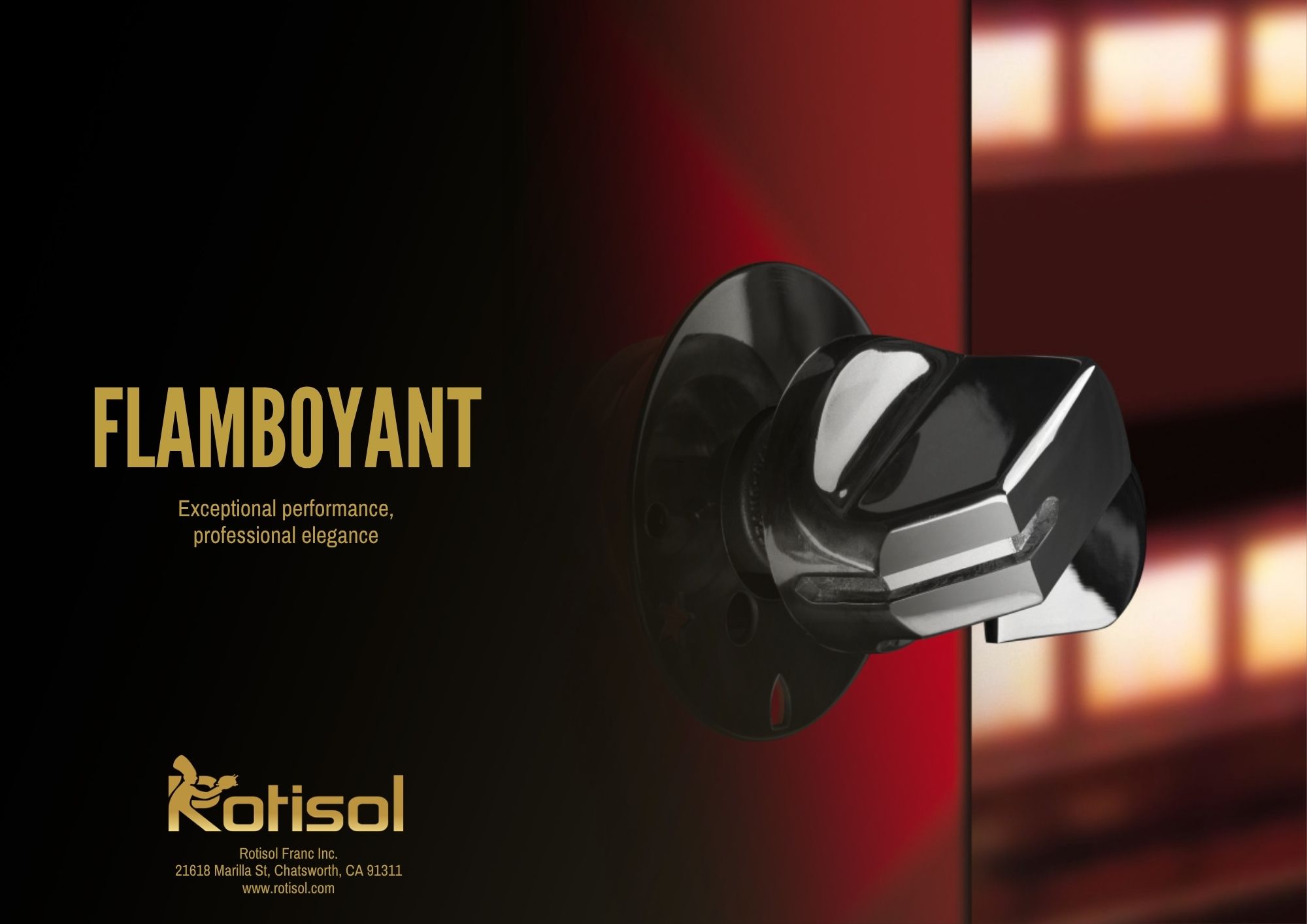 Flamboyant Category.pdf (1)